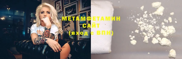 прущие грибы Железногорск-Илимский
