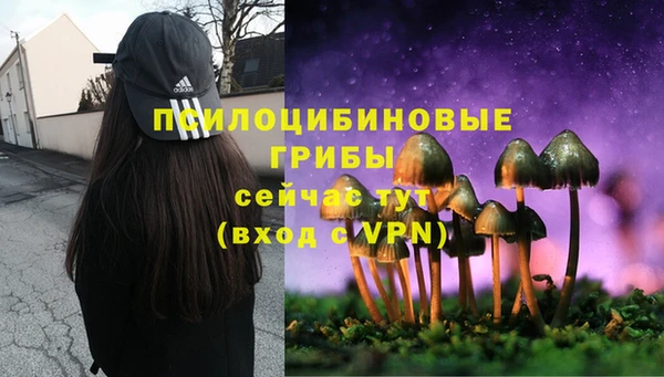 Альфа ПВП Белоозёрский