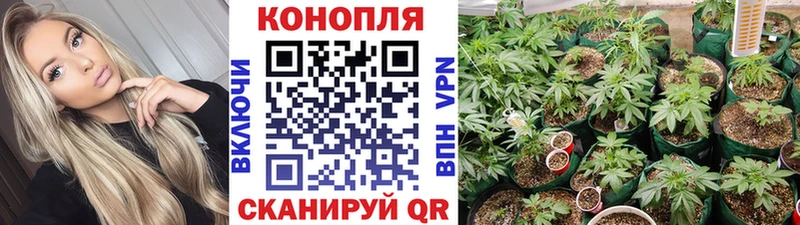 дарнет шоп  mega как войти  Шишки марихуана марихуана  Обь 